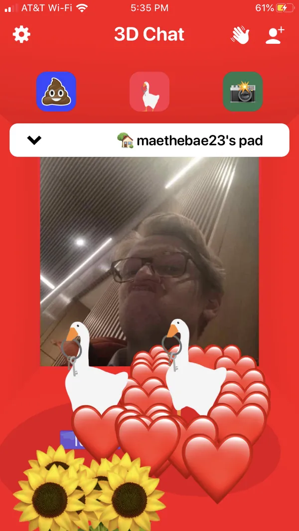 Hearts, geese, and sunflowers